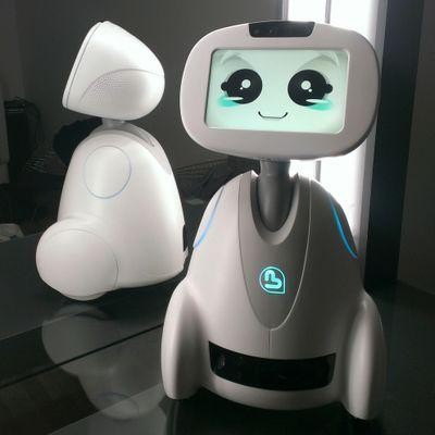 buddy_-_family_s_companion_robot_1